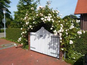 a white gate with roses growing over it at Watthuus Kiebitzhörn ground floor in Horumersiel