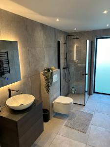 a bathroom with a sink and a toilet and a shower at Bright, Quiet, Comfortable Room In A Luxury Home in Horsens