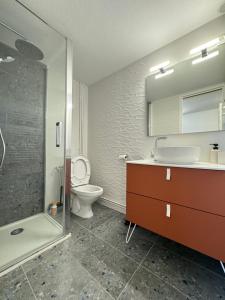 a bathroom with a toilet and a sink and a shower at Maisonnette Au bord du lac Marin Port Leucate in Leucate +8 photos