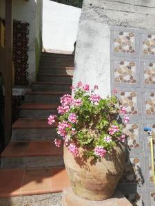 Ảnh trong thư viện ảnh của Casa Terrazze ở Piraino