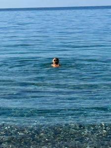 Ảnh trong thư viện ảnh của Casa Terrazze ở Piraino +24 ảnh