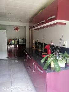 Gallery image of Gîte la rivière in Luzech +10 photos