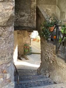 an alley with a stone building with a potted plant at La Maison di Sara in Castel Madama