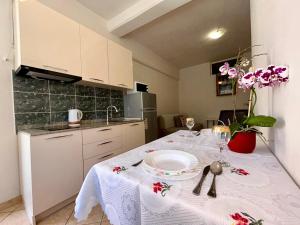 Kuchyň nebo kuchyňský kout v ubytování Apartments Tereza
