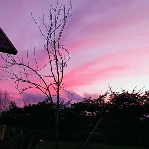 Fotografie z fotogalerie ubytování Mazury Apart v destinaci Mrągowo