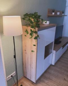 Kuchyň nebo kuchyňský kout v ubytování Ferienwohnung Rickelhoff