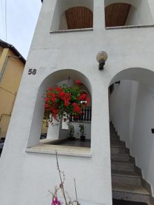 Budova, v ktorej sa apartmán nachádza