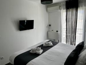 TV a/nebo společenská místnost v ubytování Casa Petra SALGA