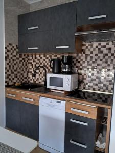 a kitchen with a stove and a microwave at Studio apartman Rose in Plitvička Jezera