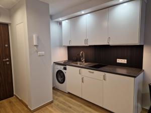 Η κουζίνα ή μικρή κουζίνα στο Bubble's apartment +13 φωτογραφίες