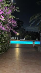 a night view of a swimming pool with purple flowers at The Tower Roma in Rome