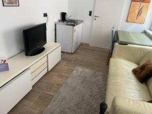 a living room with a couch and a flat screen tv at TOP4 Single Zimmer mit eigenem Bad in Enns