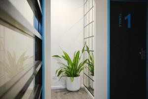 Fotografie z fotogalerie ubytování Summer House Brisbane v destinaci Brisbane