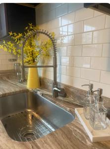 a kitchen sink with a faucet on a counter at 2 Whole Apartments Combined, Big House for Large groups 4 beds, 1 futon , Pet Friendly in South Euclid