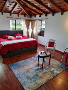 a bedroom with a bed and a table and a chair at Chalet D'Elena in Nobsa