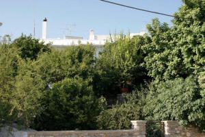 a group of trees in front of a building at Giannakis' Filoxenia in Naxos Chora
