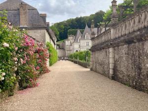 ヴィランドリーにあるGîte tout inclus avec jardin, clim, Wifi, proche Château de Villandry et Loire à vélo - FR-1-381-587の花の街の空き道