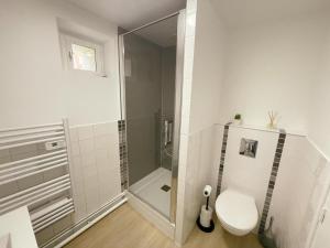 ヴィランドリーにあるGîte tout inclus avec jardin, clim, Wifi, proche Château de Villandry et Loire à vélo - FR-1-381-587のシャワーとトイレ付きのバスルーム