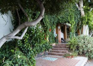 Κήπος έξω από το Cottage sul Mare