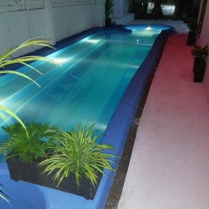 Gallery image of Villa Tropica in Kampot