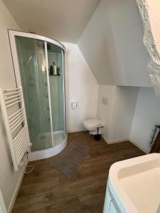 a bathroom with a shower and a toilet at Appartement duplex cosy Saint Servan centre in Saint Malo