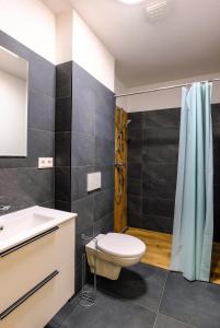 Kúpeľňa v ubytovaní Apartmány pri Belej + 28 fotografií