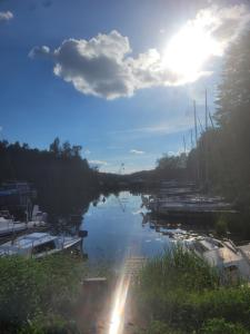 a view of a river with boats in it at Lusesita in Nowy Jasiniec