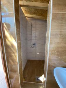 a bathroom with a shower with a sink at Vikvid in Nišor +8 photos