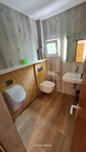 a bathroom with a toilet and a sink and a mirror at Appart-Pension Seehang in Velden am Wörthersee +109 photos