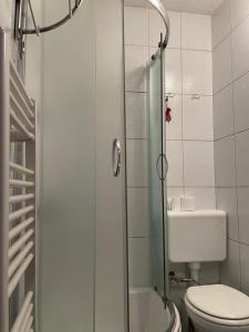 Sarajevo Cozy Attic - Free Parking的一间浴室