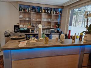 Lounge nebo bar v ubytování Hotel PB