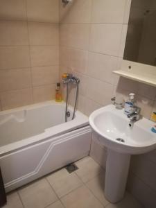 波德戈里察Rent a Conform Apartment的带水槽、浴缸和马桶的浴室