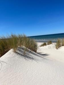a group of sand dunes with grass on a beach at Apartament Szept Morza in Debina +32 photos