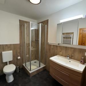 a bathroom with a shower and a toilet and a sink at Kavaliershaus neben Schloss Rauenstein in Rauenstein +25 photos