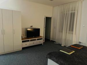 a room with a bed and a flat screen tv at WHOLE HOUSE FOREST-yard and BBQ, private parking in Marinići