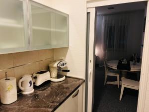 a kitchen counter with some appliances on it at WHOLE HOUSE FOREST-yard and BBQ, private parking in Marinići +14 photos