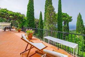 um pátio com duas cadeiras e um banco e árvores em Tenuta Bussadori - Casa Del Maresciallo em Poggio