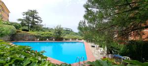 Swimmingpoolen hos eller tæt på Camogli Casa Conchiglia