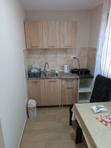 Kuchyň nebo kuchyňský kout v ubytování Apartmani Čanović