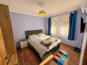 a bedroom with a bed with blue walls and blue curtains at Dani Apartments, Albanian Alps, Tropoje in Kolgecaj