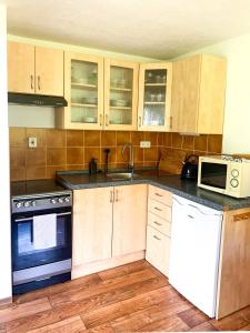 Kuchyň nebo kuchyňský kout v ubytování Apartmánový dům Horní Vltavice