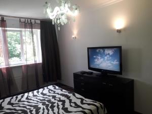Televiisor ja/või meelelahutuskeskus majutusasutuses Apartment Oasis