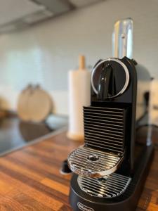 Foto dalla galleria di Wohnung mit Garten am See a Langenargen