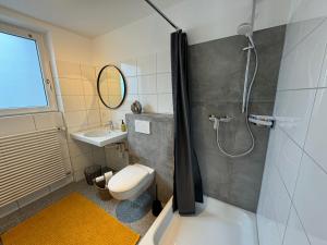 a bathroom with a shower and a toilet and a sink at Wohnung mit Garten am See in Langenargen +9 photos