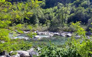 a river with rocks and trees in the background at Camping Piccolo Paradiso in Avegno