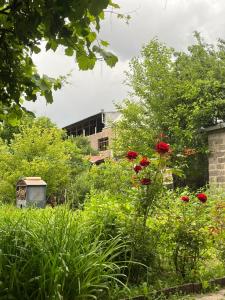 Zahrada ubytování Papoyan Guest House