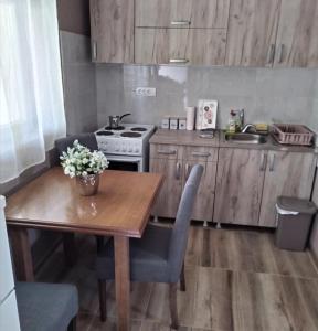 Kuchyň nebo kuchyňský kout v ubytování HiT apartmani Pačir
