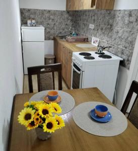 Kuchyň nebo kuchyňský kout v ubytování HiT apartmani Pačir