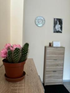 Fotografie z fotogalerie ubytování Vila Razic v destinaci Danilovgrad