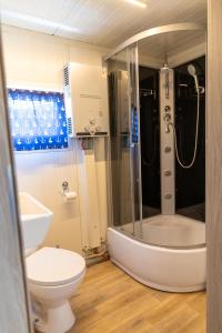 リプトフスキー・ミクラーシュにあるMarský Vlk - zážitkový houseboat a wellnessのトイレとシャワー付きのバスルーム +15枚の写真